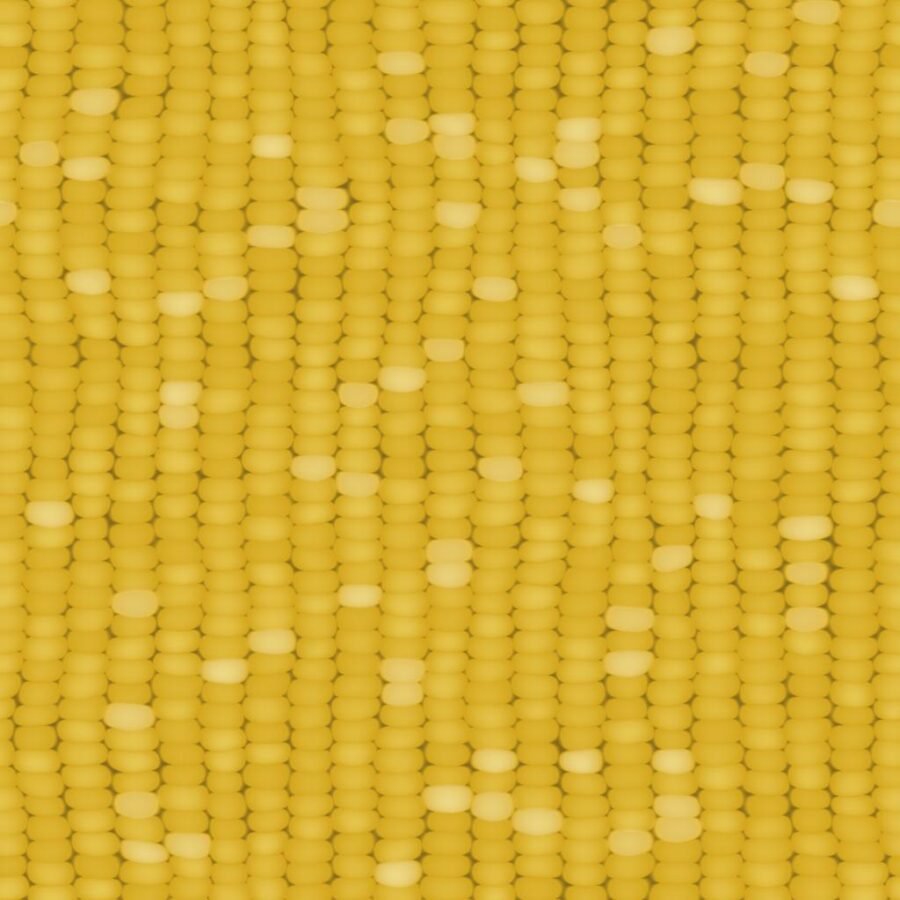Corn(Maize) Texture