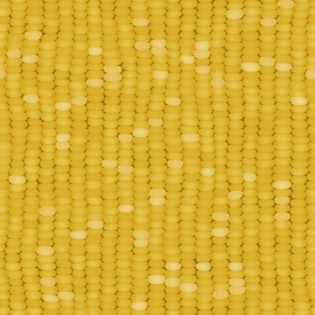 Corn(Maize) Texture