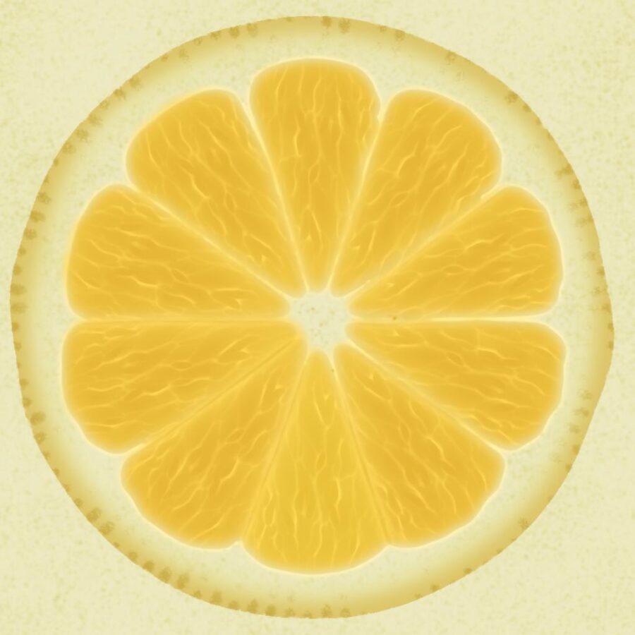 Lemon Slice Cross Section