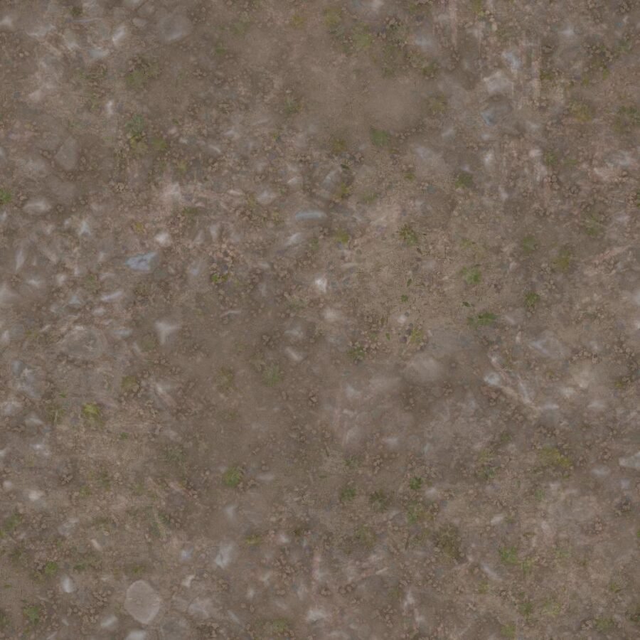 Sandy Trail Texture with Rocks, Pebbles and Plants