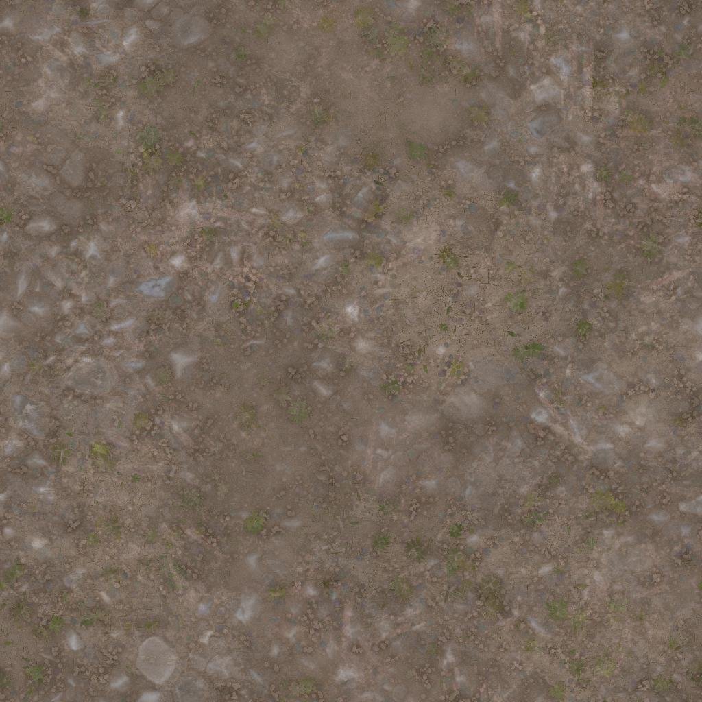 Sandy Trail Texture with Rocks, Pebbles and Plants